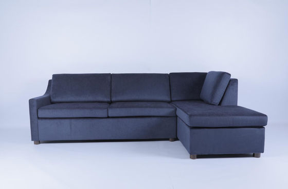 Giá tốt. Đồ sofa hiện đại được tùy chỉnh trong phòng khách với vải khung gỗ trực tuyến